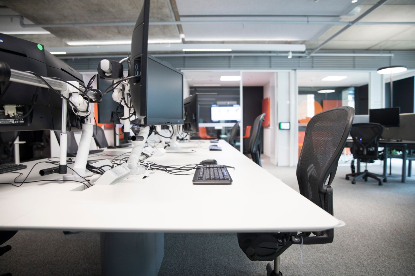 Services by Synapse Digital Agency